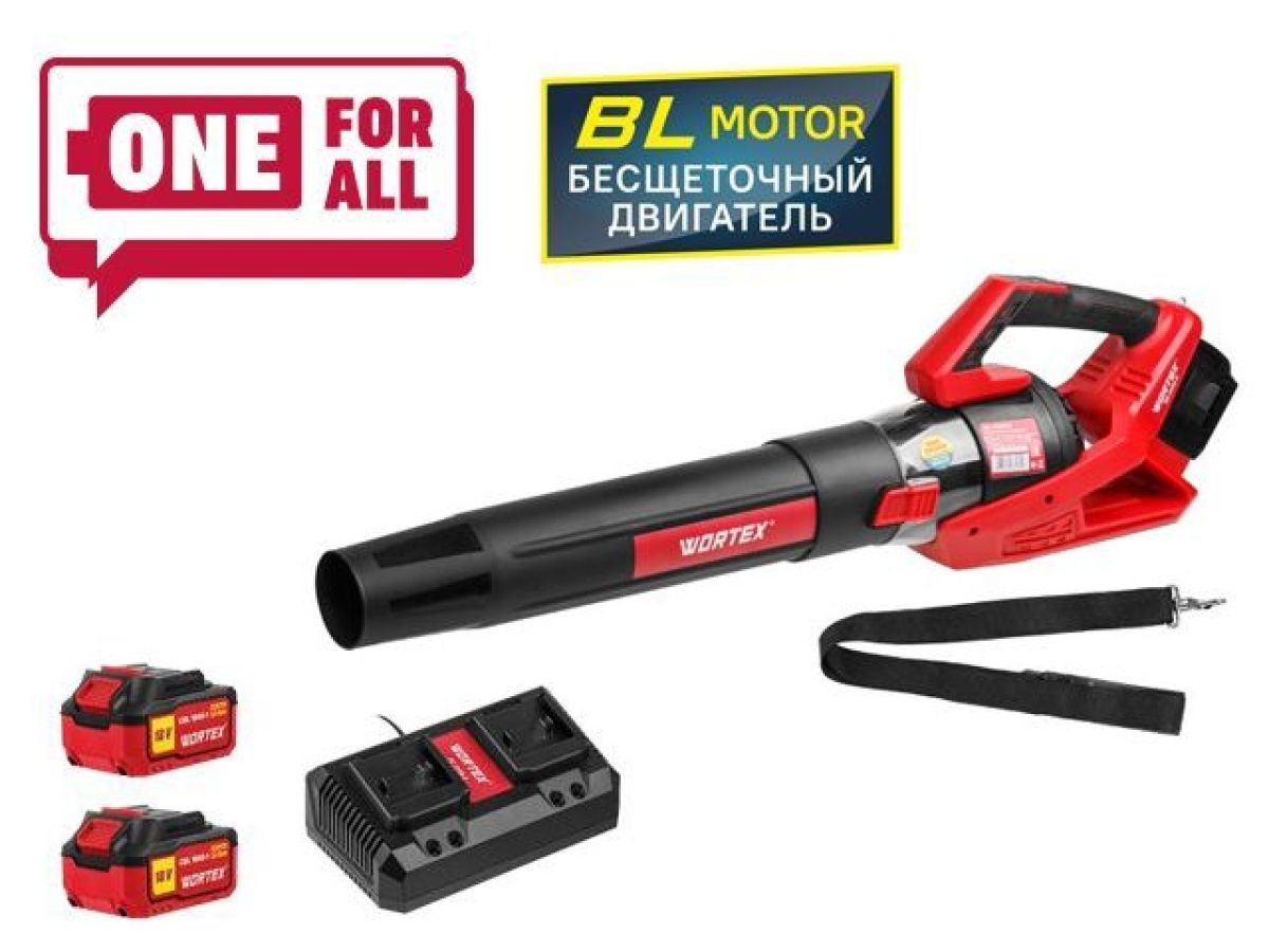 Аккумуляторная воздуходувка WORTEX BB2536D 18В+18В 